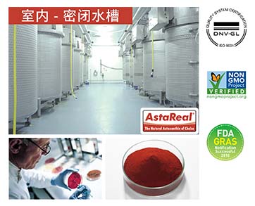 AstaReal® 美国原材料，澳洲制造。AstaReal® 是世界排名第一的安全天然虾青素品牌